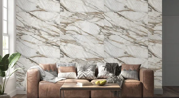 Shape Collection